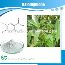 Versorgung Halofuginone Cas 55837-20-2 Heißer Verkauf
